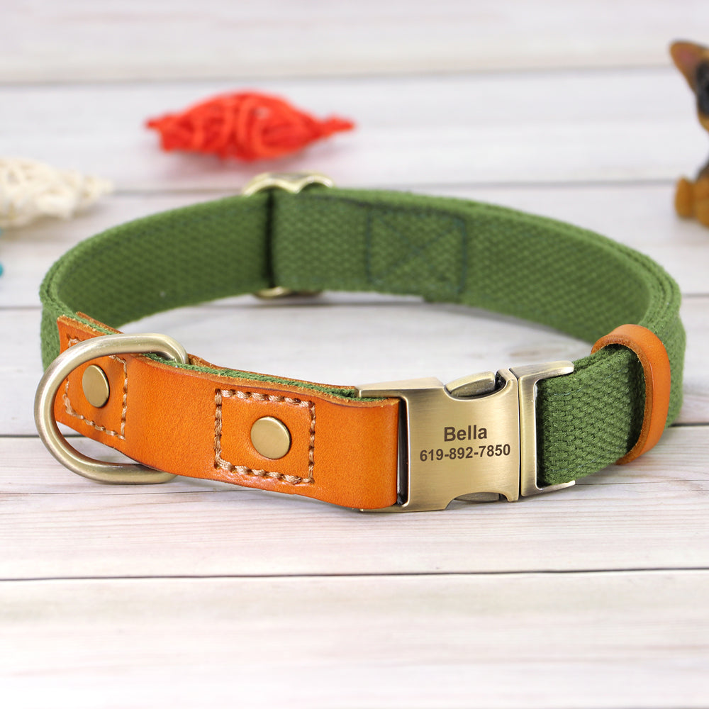 Personalisierbares Hundehalsband - Gurtband meets Leder!