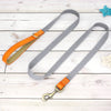 Hundeleine - Gurtband meets Leder!