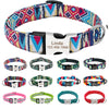 Personalisierbares Nylonhundehalsband in vielen verschiedenen Farben von Pawdeluxe
