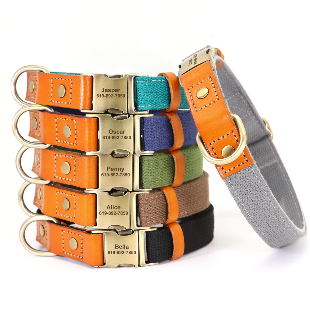 Personalisierbares Hundehalsband - Gurtband meets Leder!