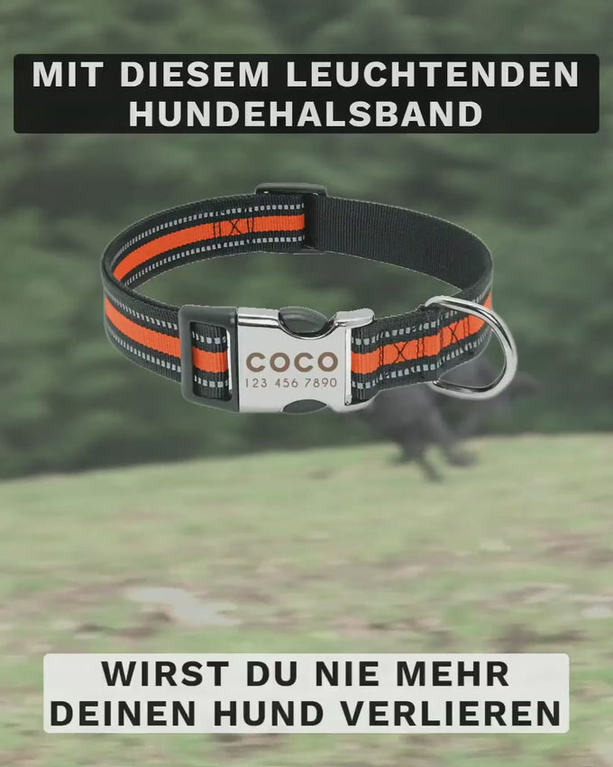 Personalisierbares Nylonhundehalsband mit eingearbeiteten Reflektoren in verschiedenen Farben und Größen von Pawdeluxe