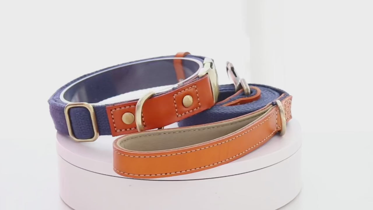 Personalisierbares Hundehalsband - Gurtband meets Leder!