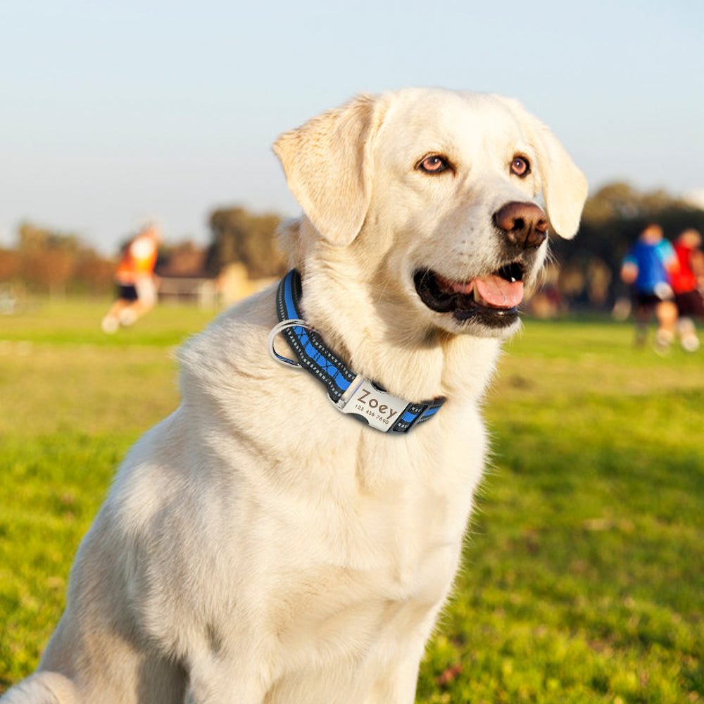 Personalisierbares Hundehalsband aus Nylon mit Reflektoren