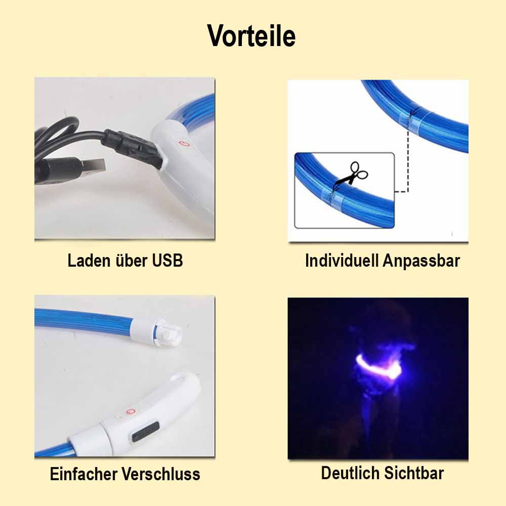 Leuchtendes LED-Hundehalsband