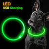 Leuchtendes LED-Hundehalsband